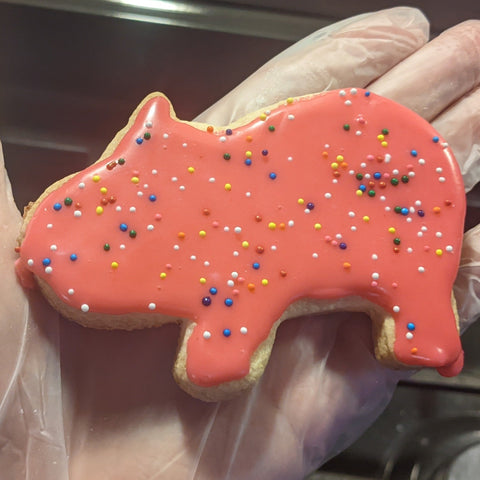 Gluten-Free Iced Animal Cookies - *DAIRY-FREE*
